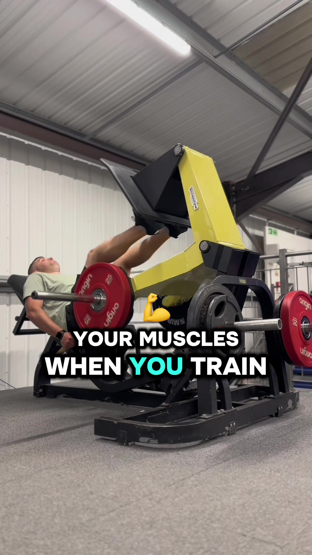 @ModestasGymlife
