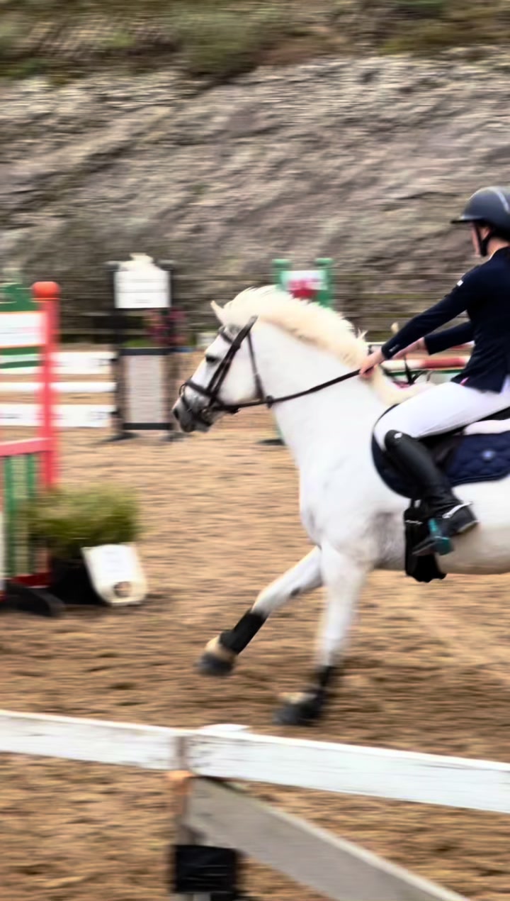 @amelia_showjumping2
