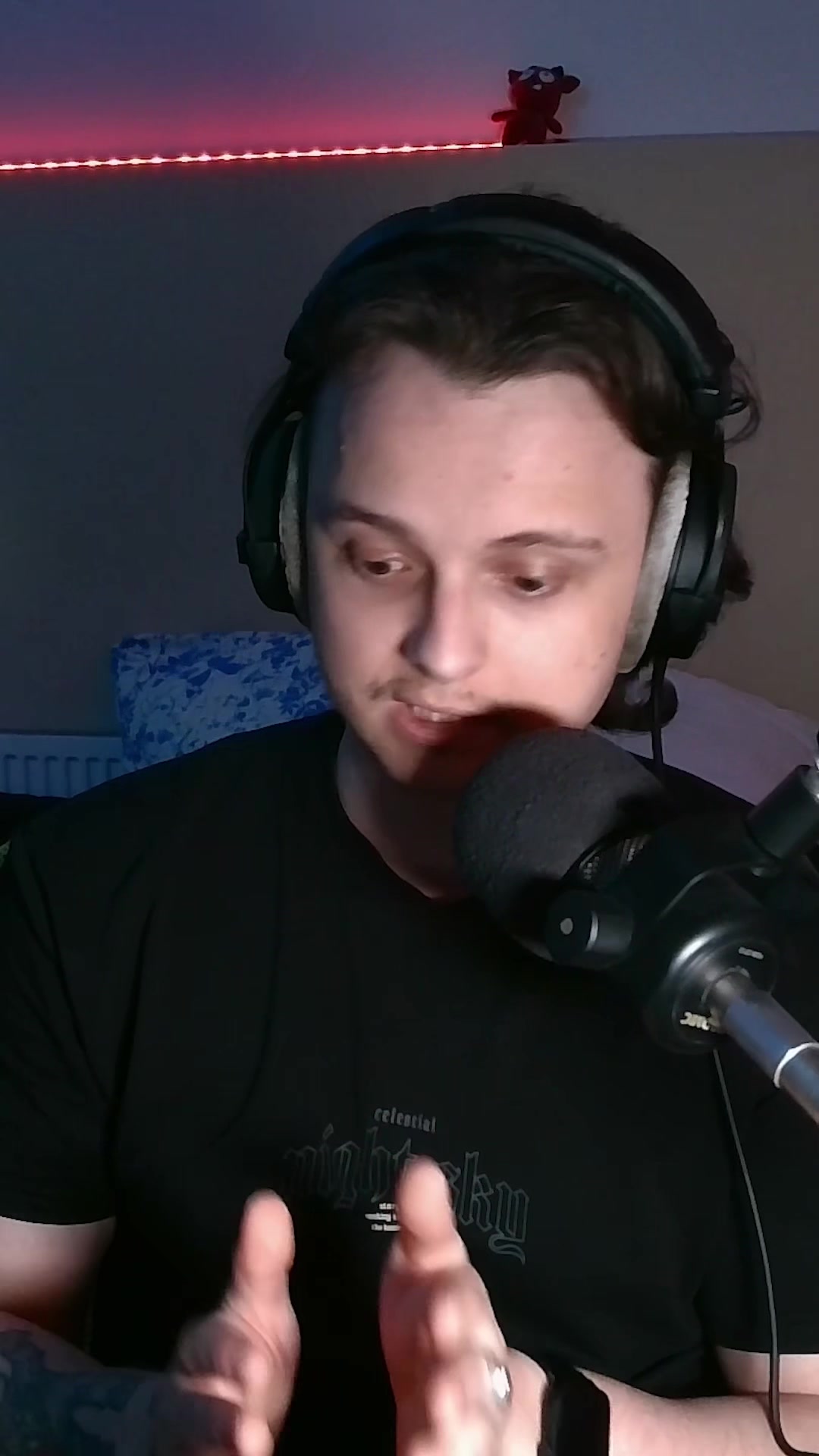 @SoundReflection
