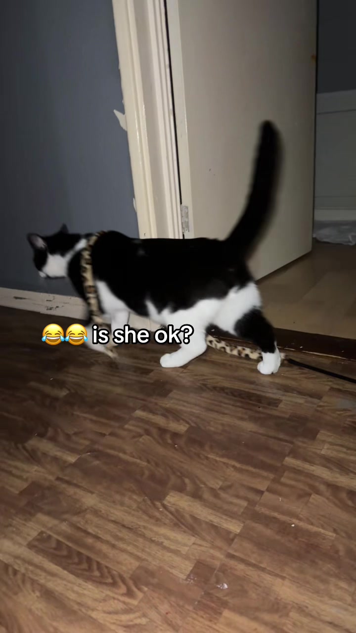 @Paigeyy