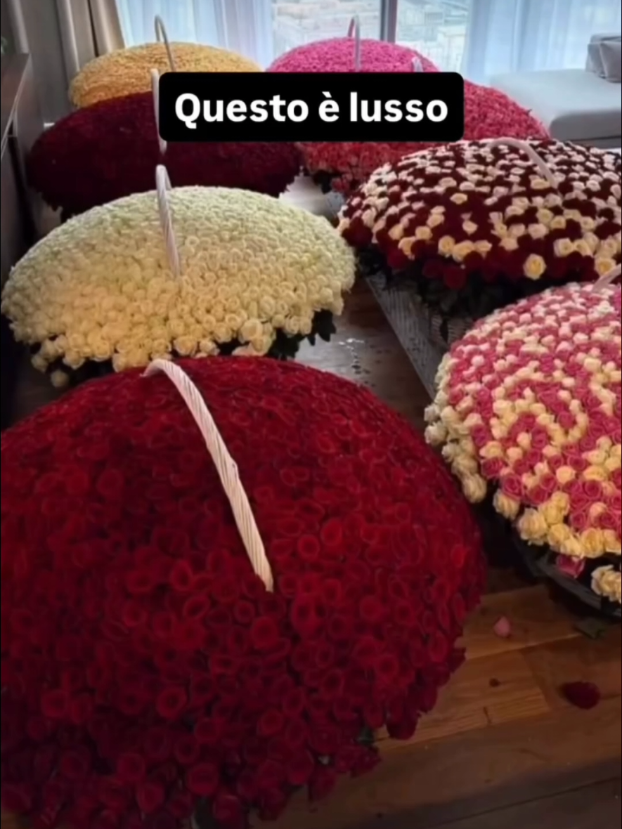 @Rita Gallarello