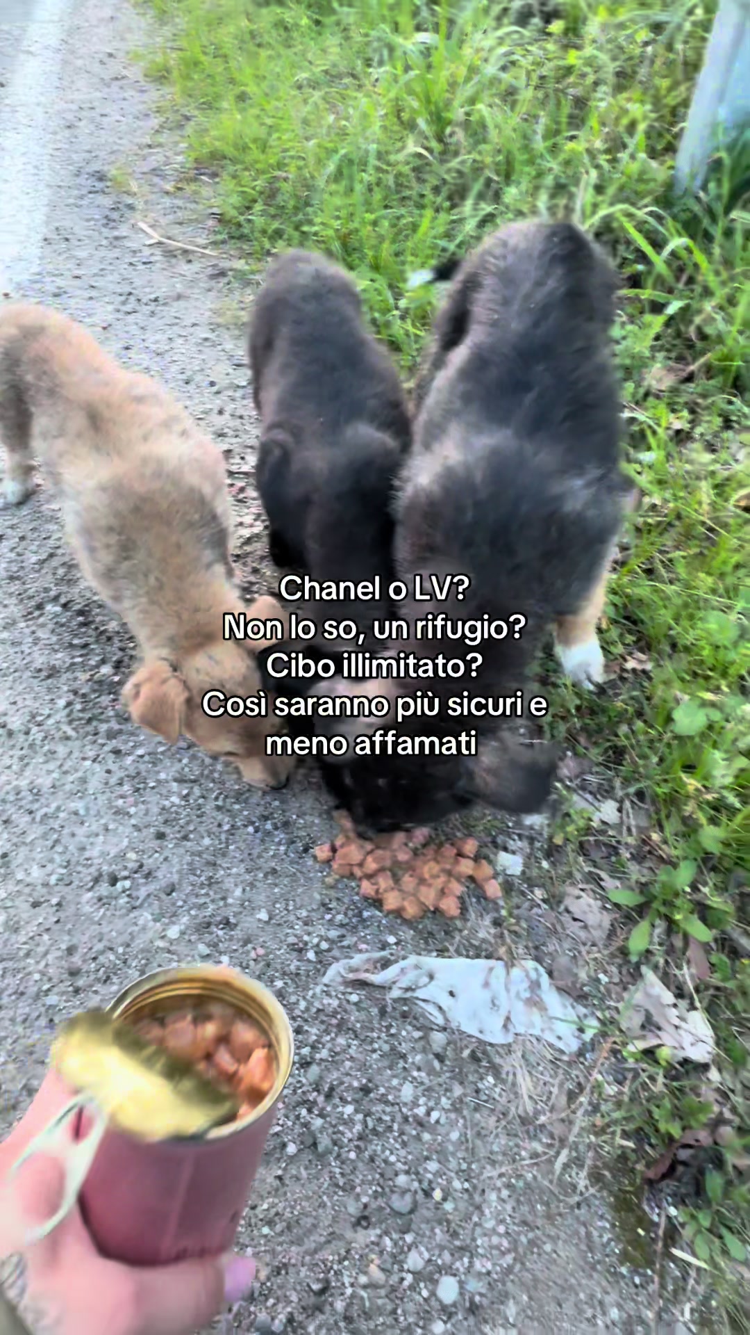 @giulss