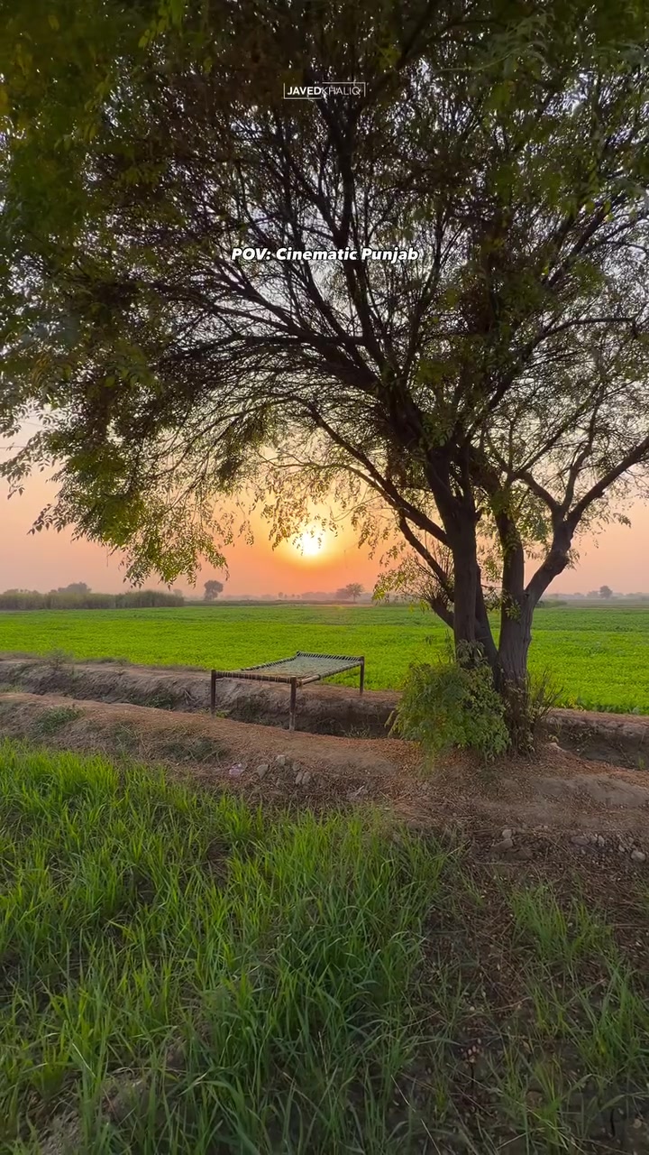 @ਭੁੱਲਰ 🌸