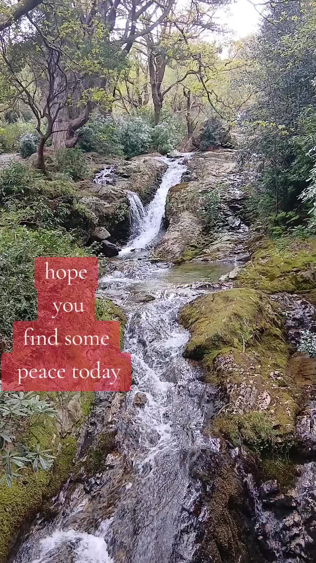 @Peace for Children