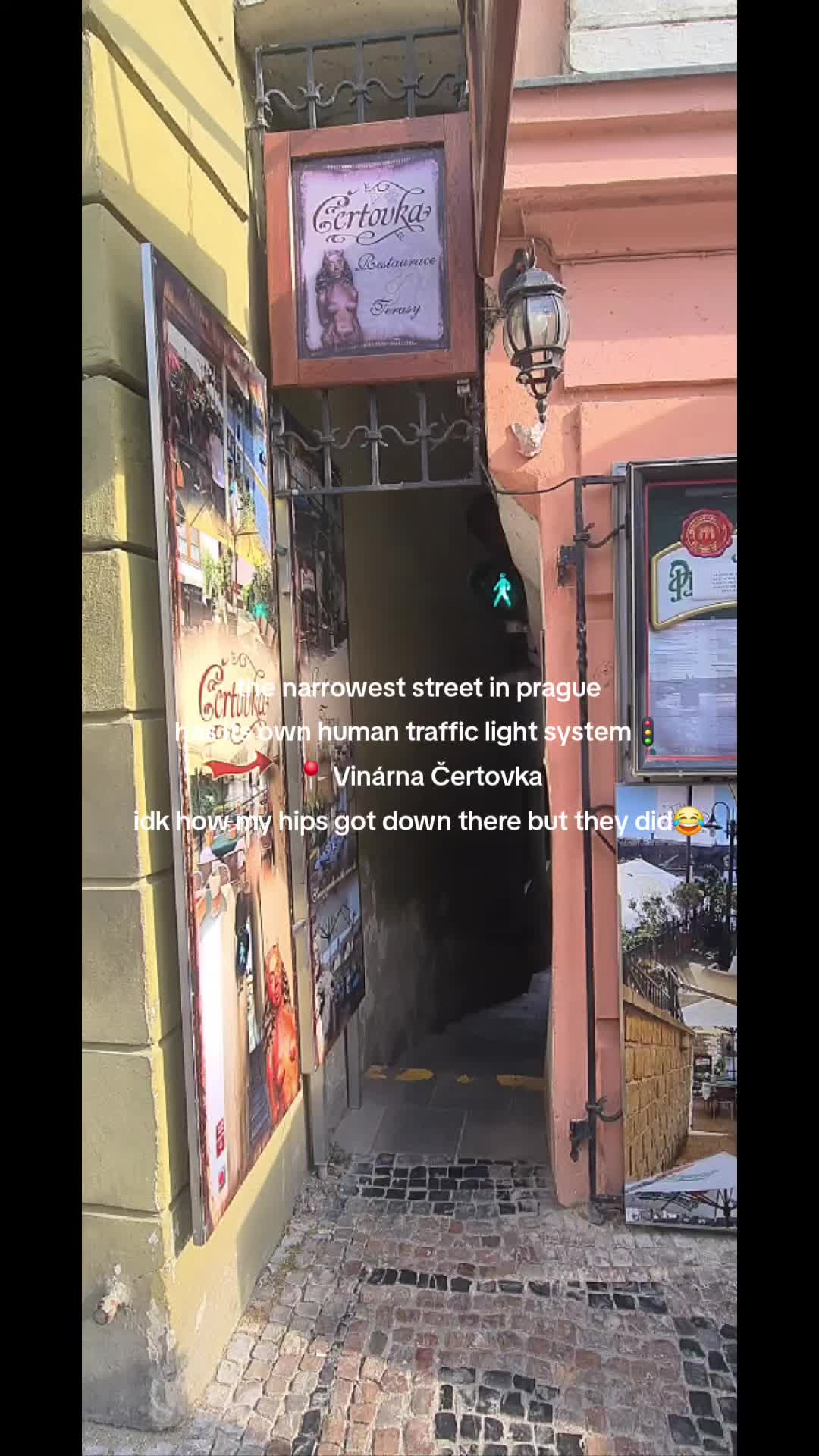 @Victoria🧚♀️