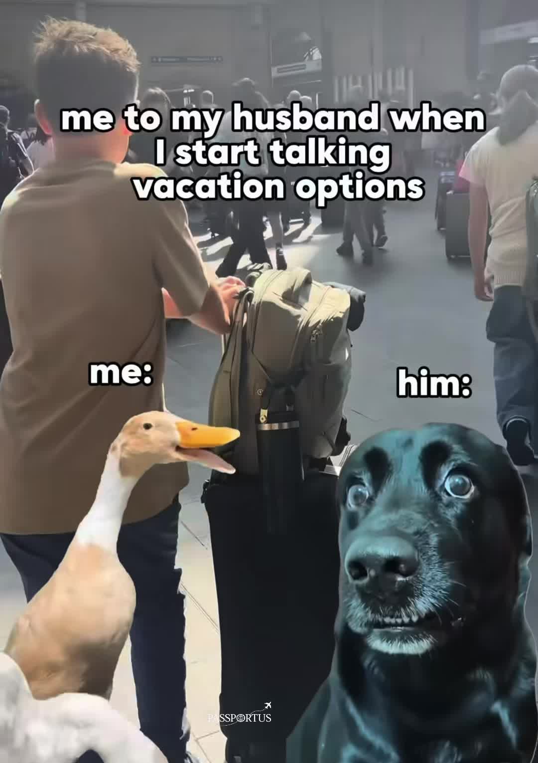 @thepassportus