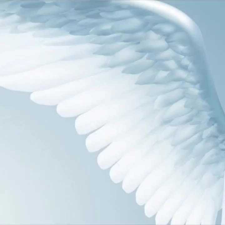 @天使
