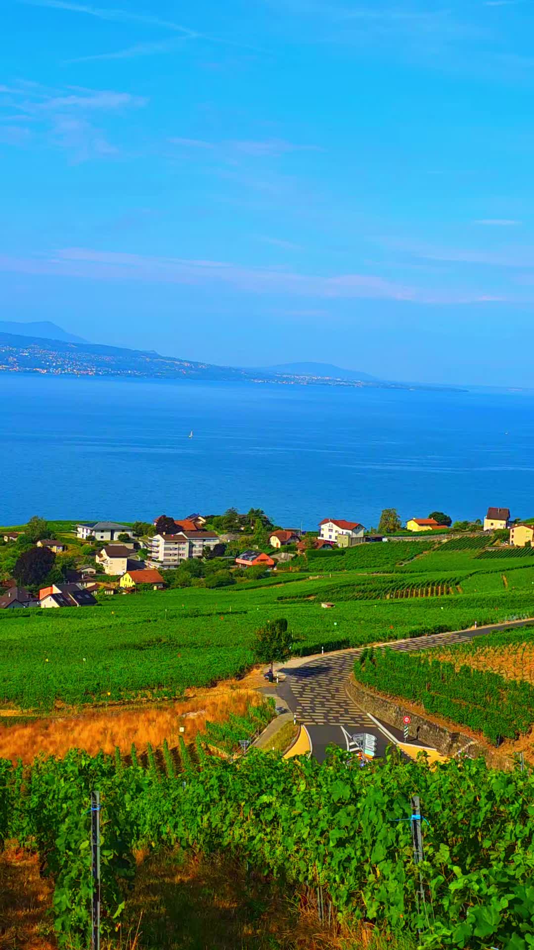 @🇨🇭flores Sérgio 🇵🇹