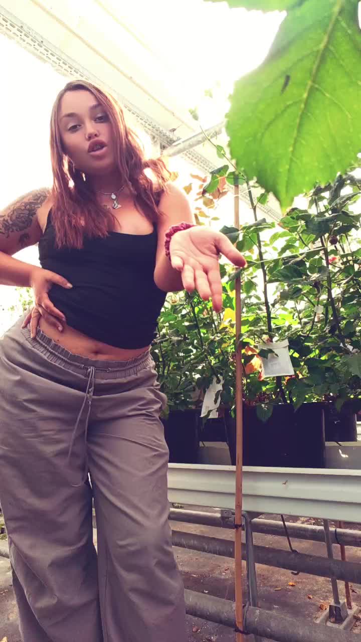 @vallestockkkk