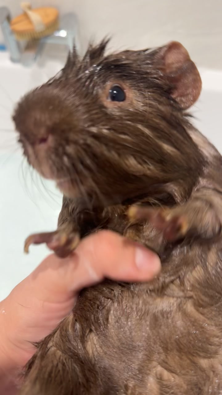 @Keri cännūr