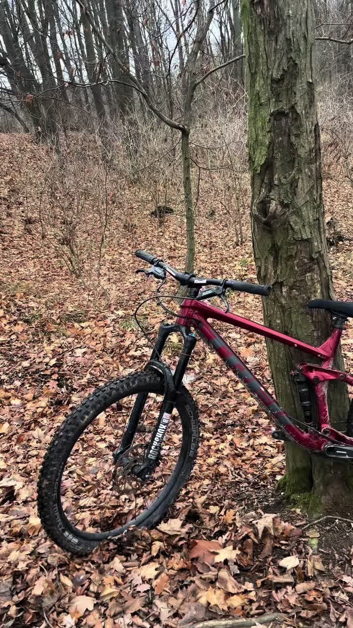 @mtb_maurice🌑