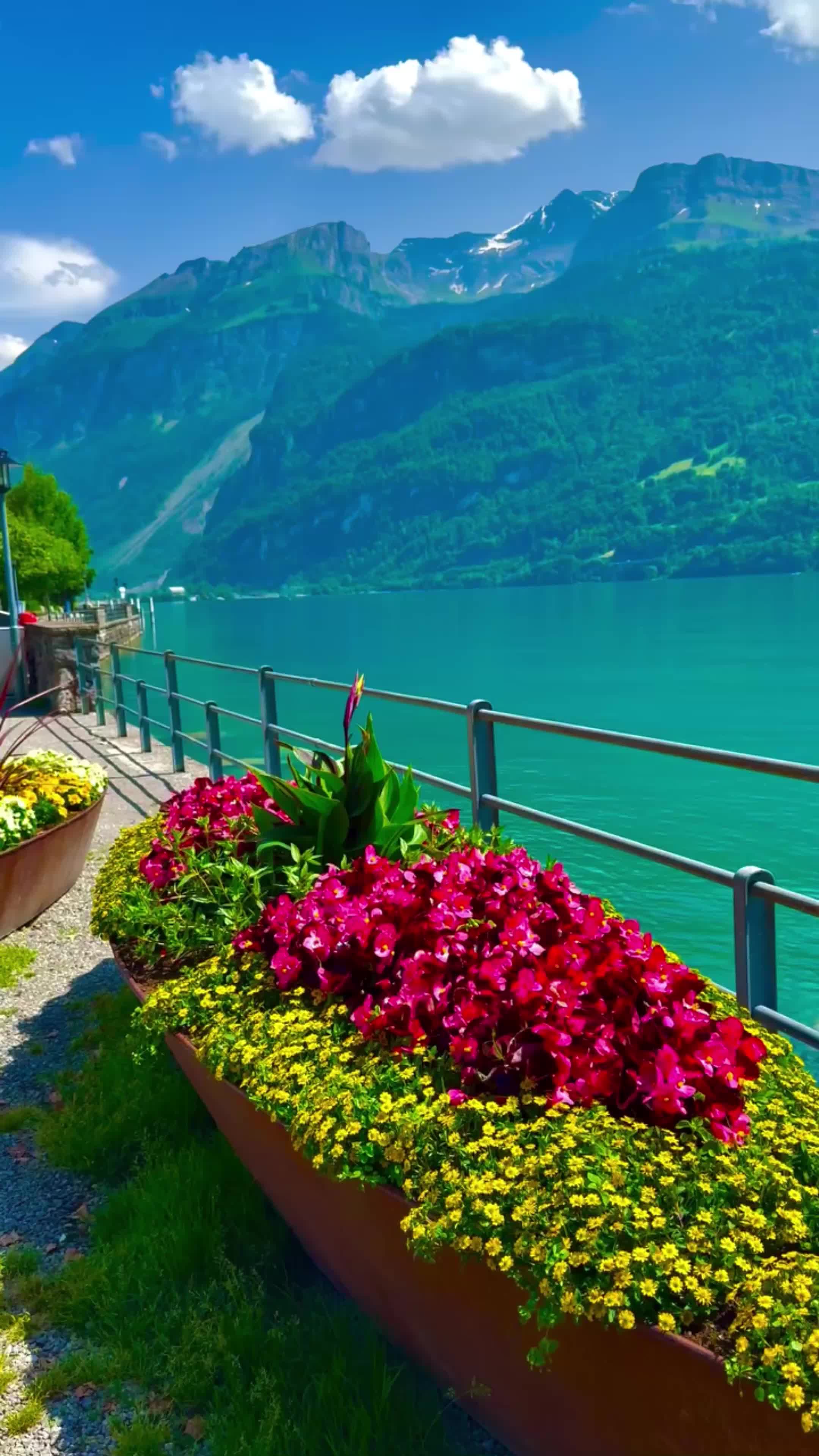 @World 🌍 beauty