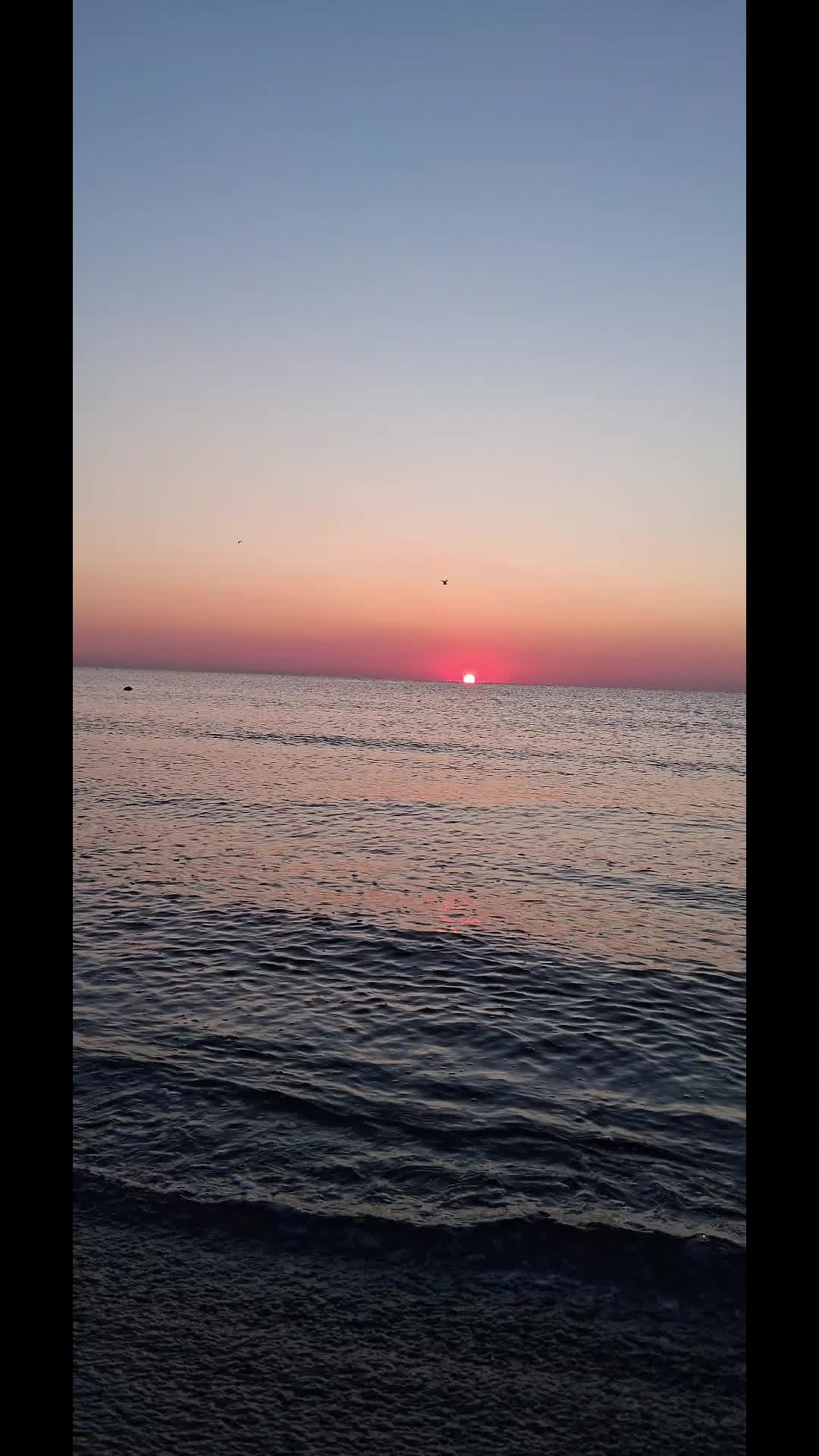 @Ancapanait
