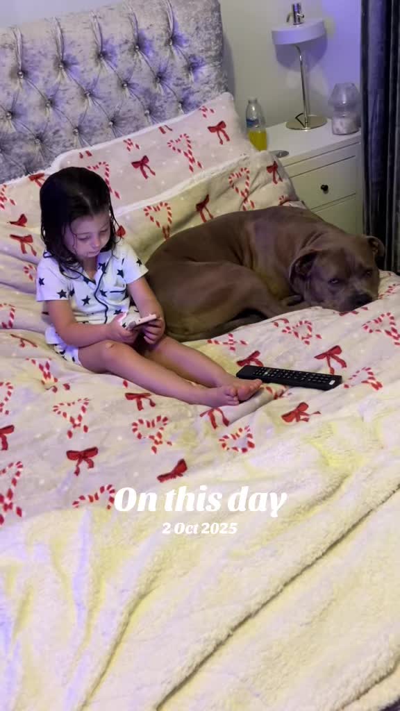 @Megs&Bear 🐶🖤