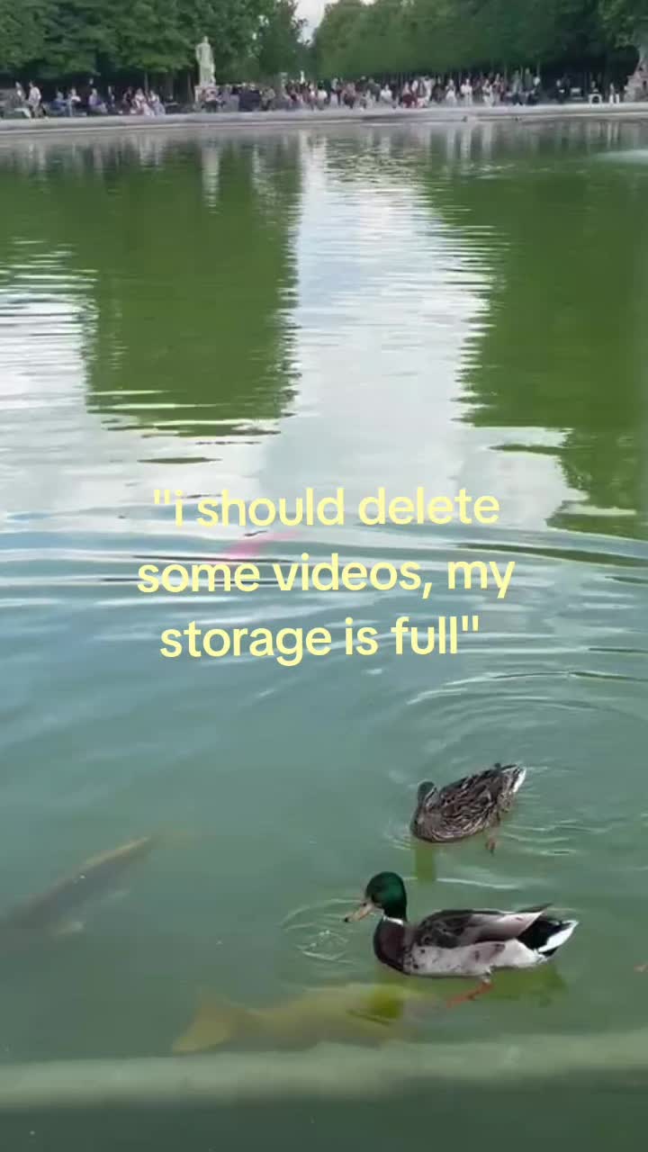 @ykaaar