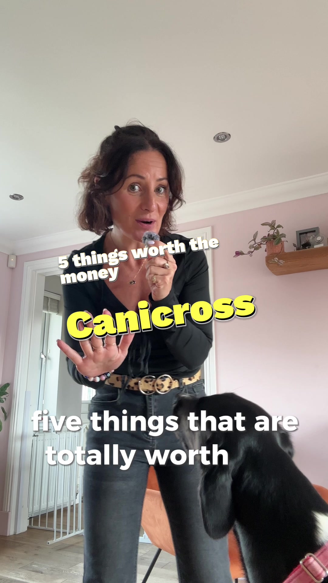 @Lindsay-CaniFit