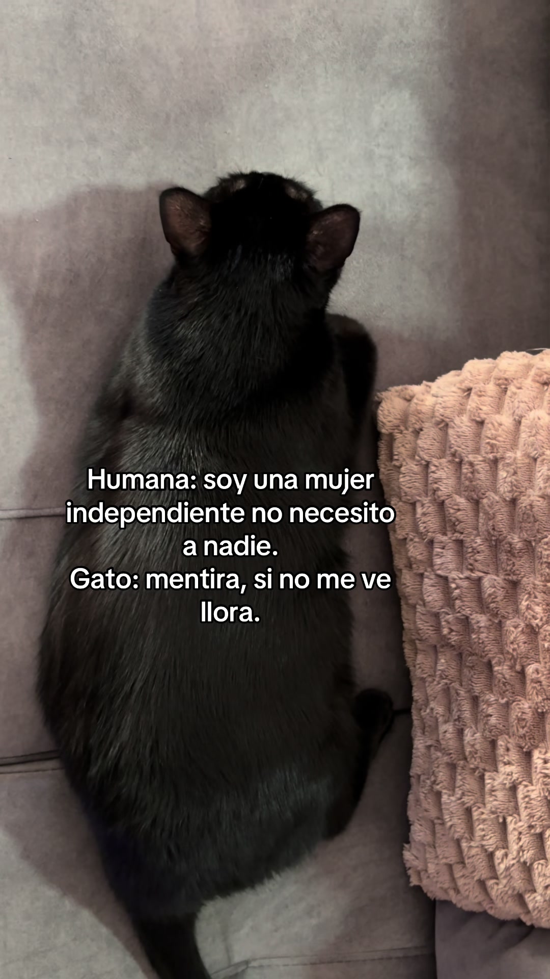 @BlackCatsMatter