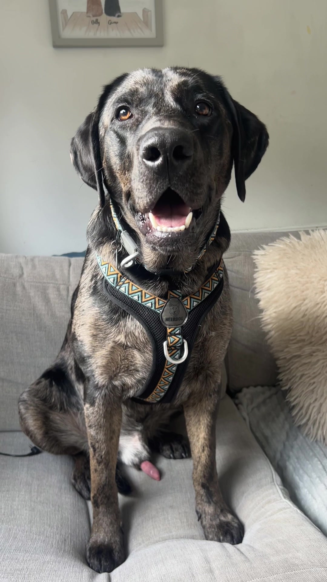 @Leotheleopardlab