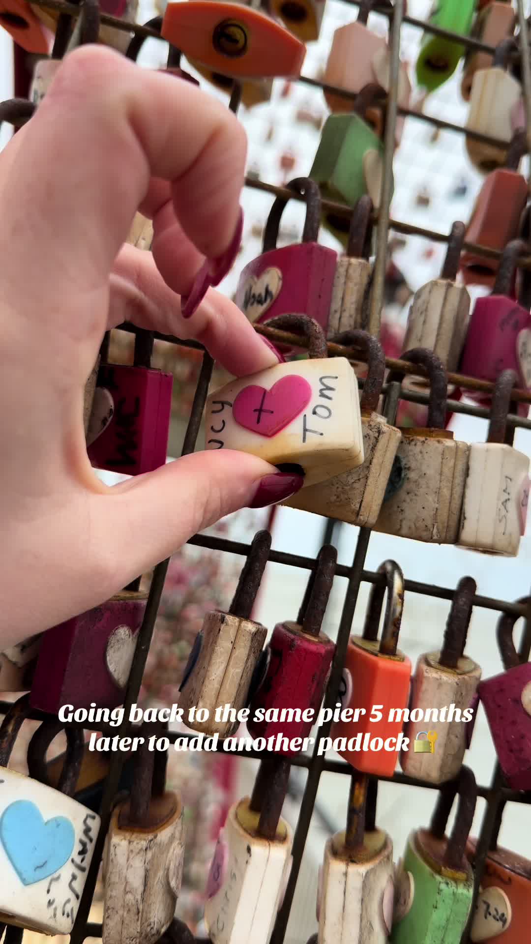 @lucyl.r