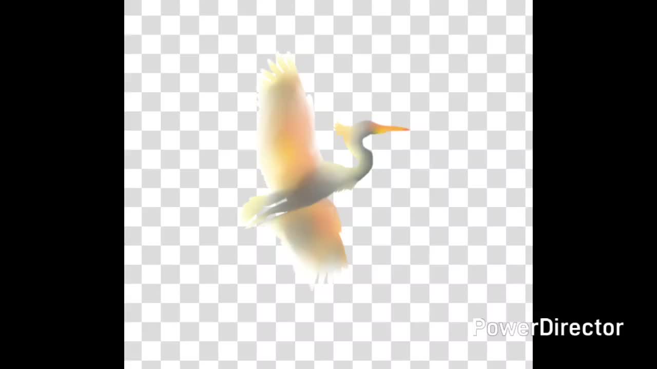 @soileart87