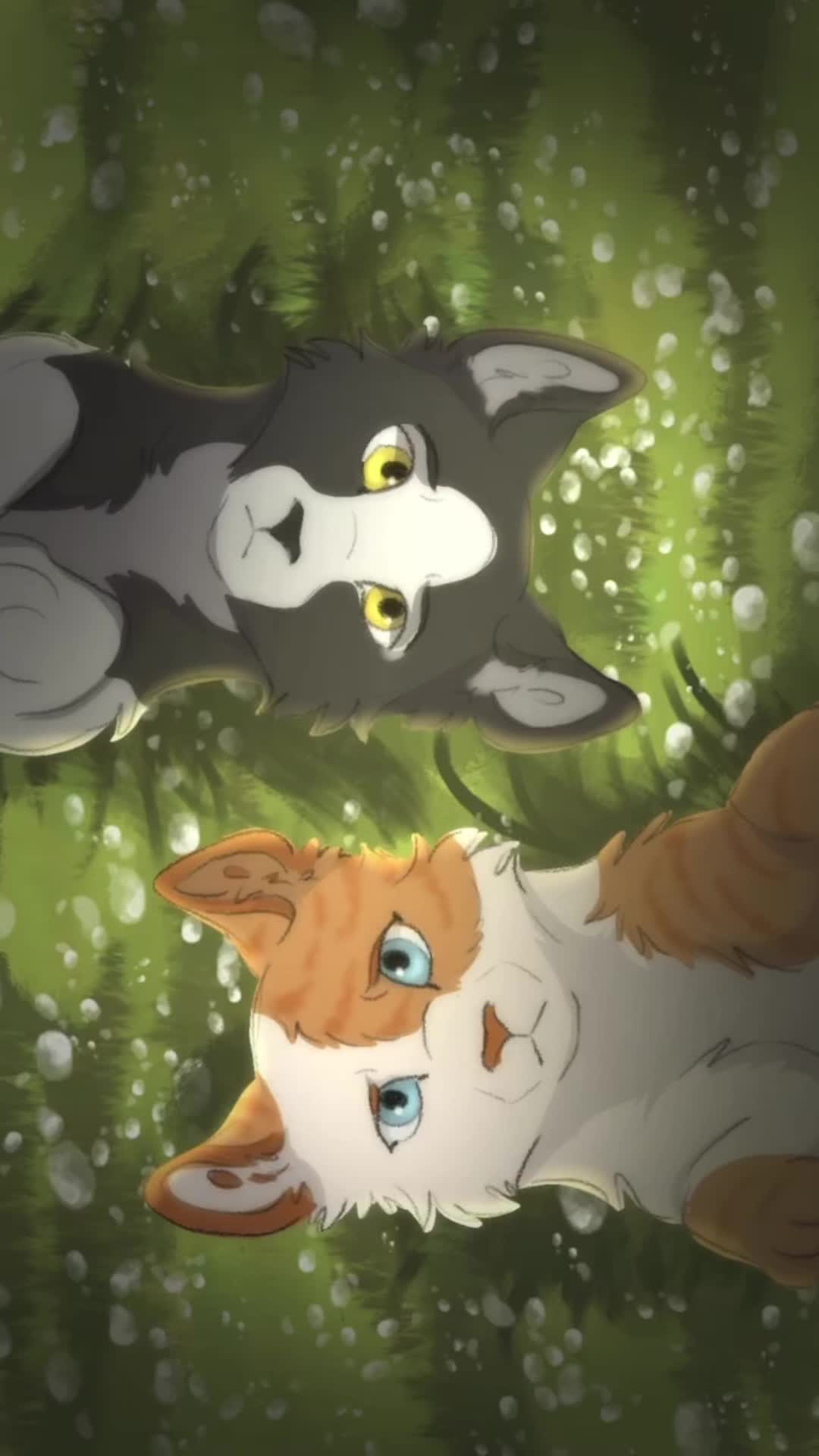 @Cattalents