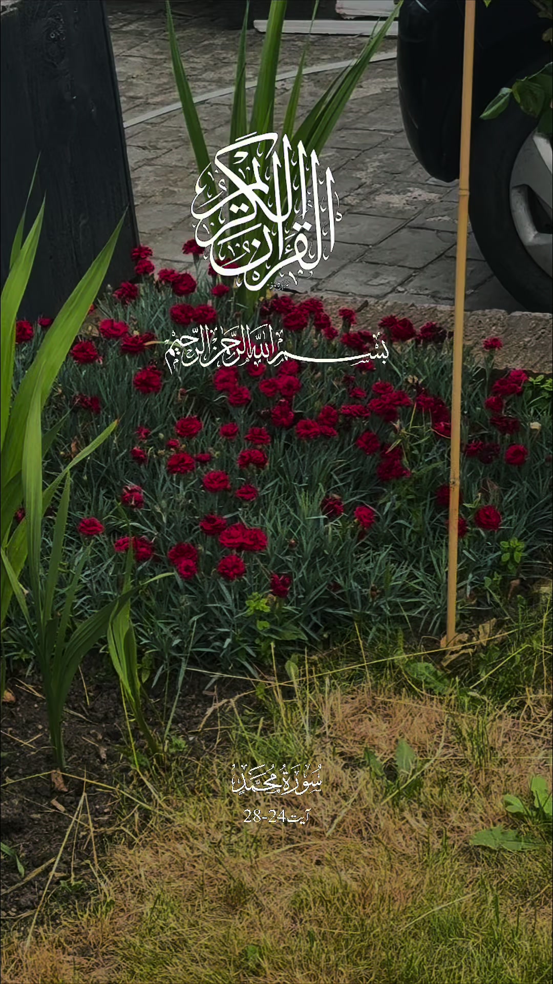 @maqrafiq