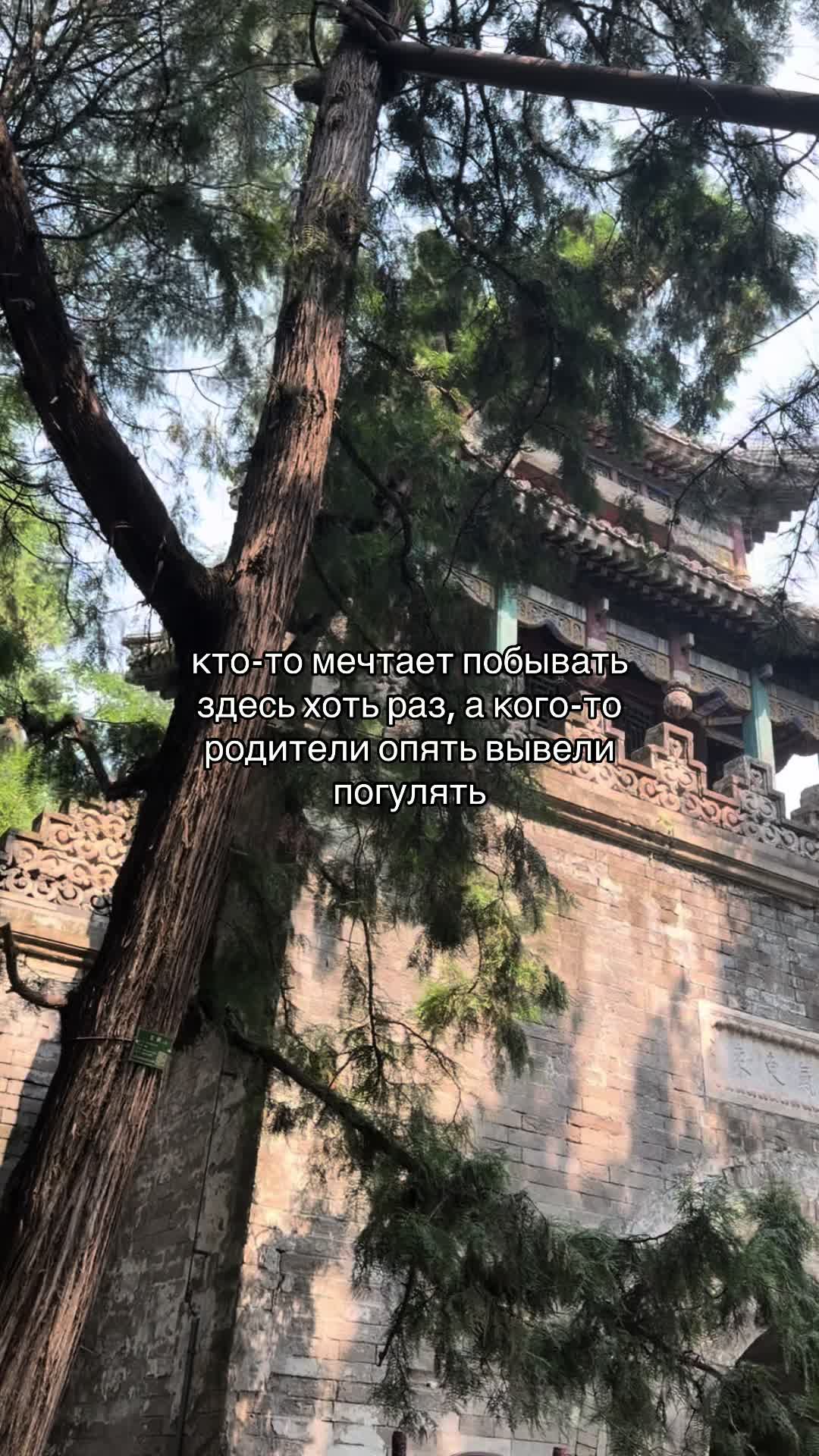 @masha/玛莎