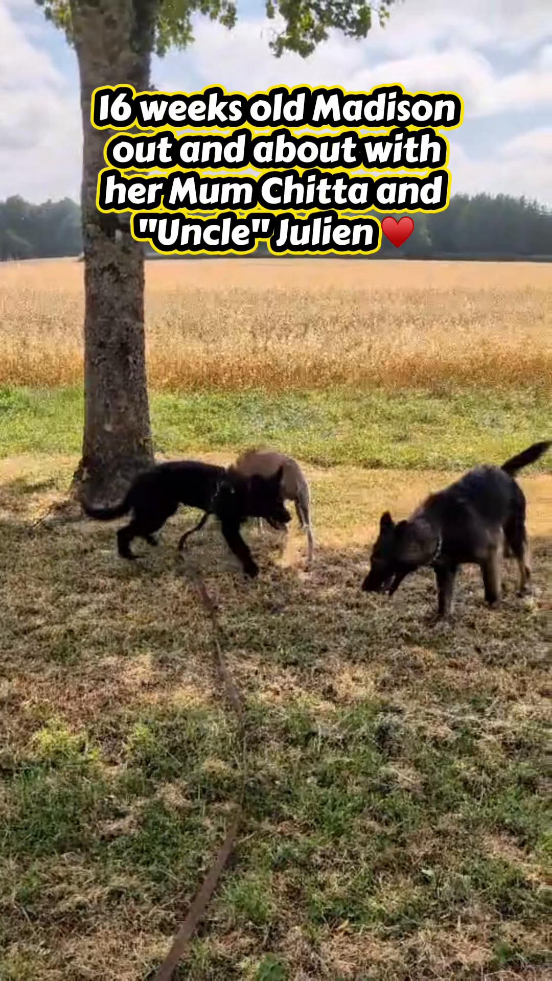 @TheGSDhubwithjennygould