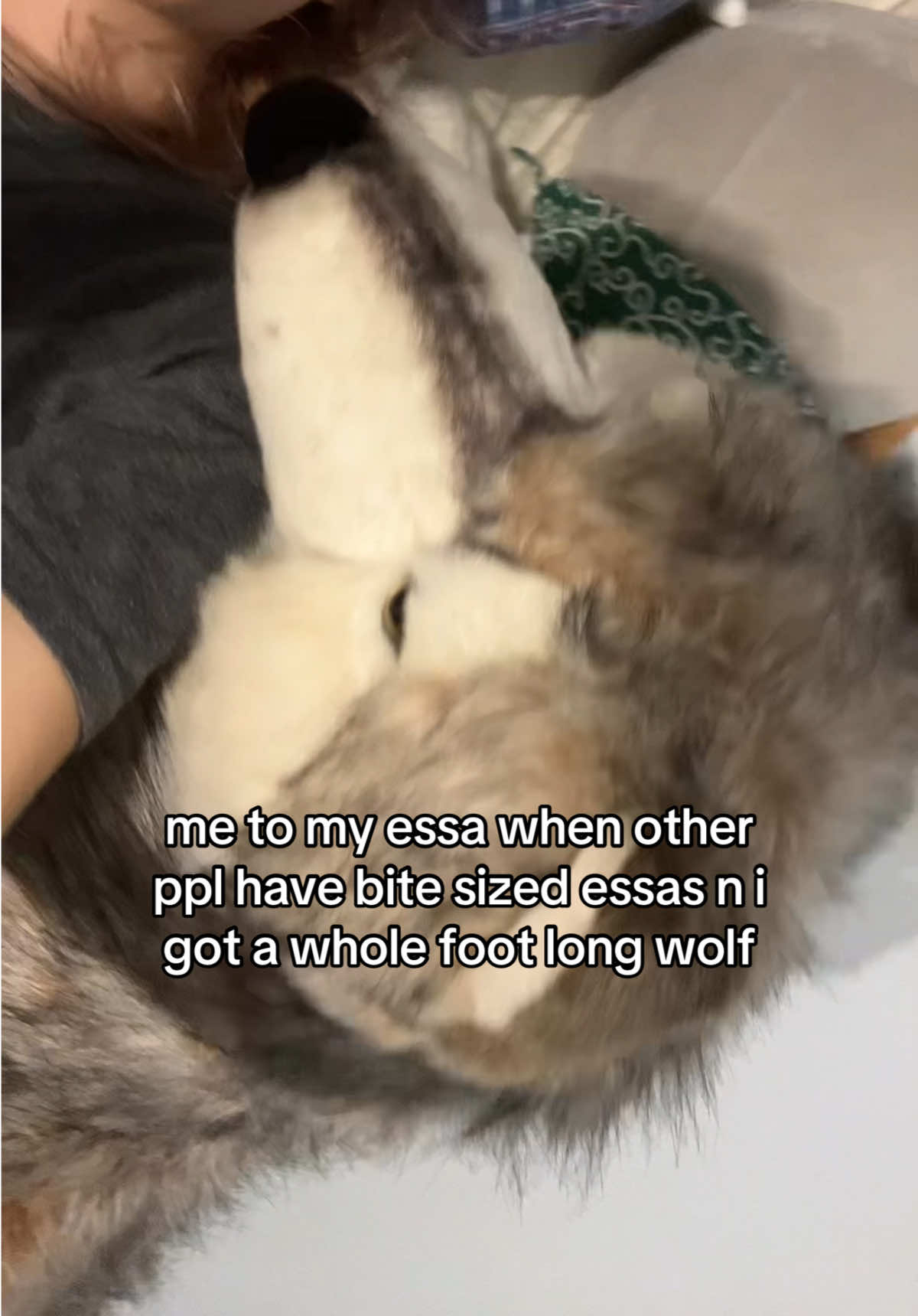 @youngdeerstrophywife