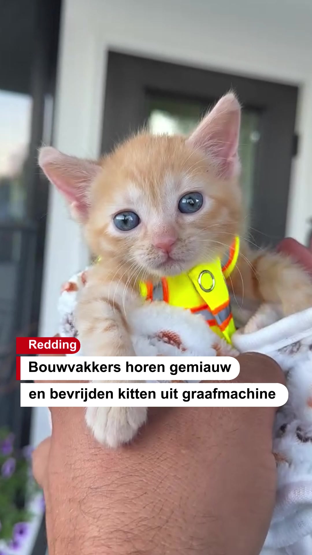 @De Stentor