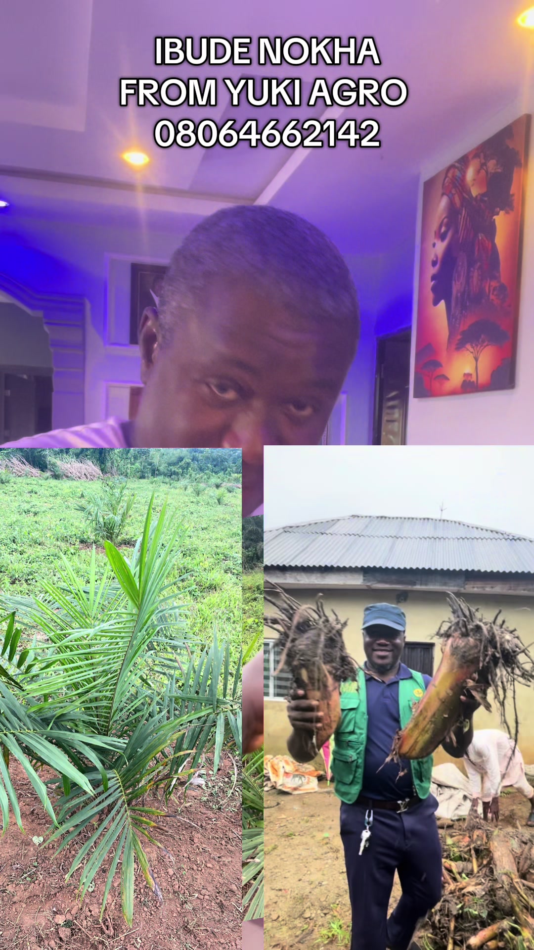 @BabaObaTv @Yuki Agro limited