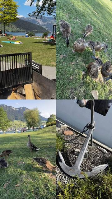 @🍀🇨🇭ĹOS ĹOcOS ScĤw𝐞iz🇨🇭🍀
