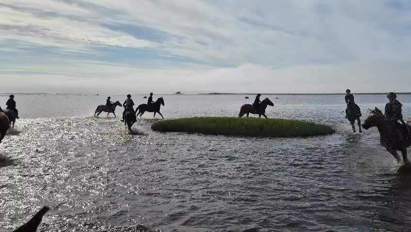 @Beach Horse Stable