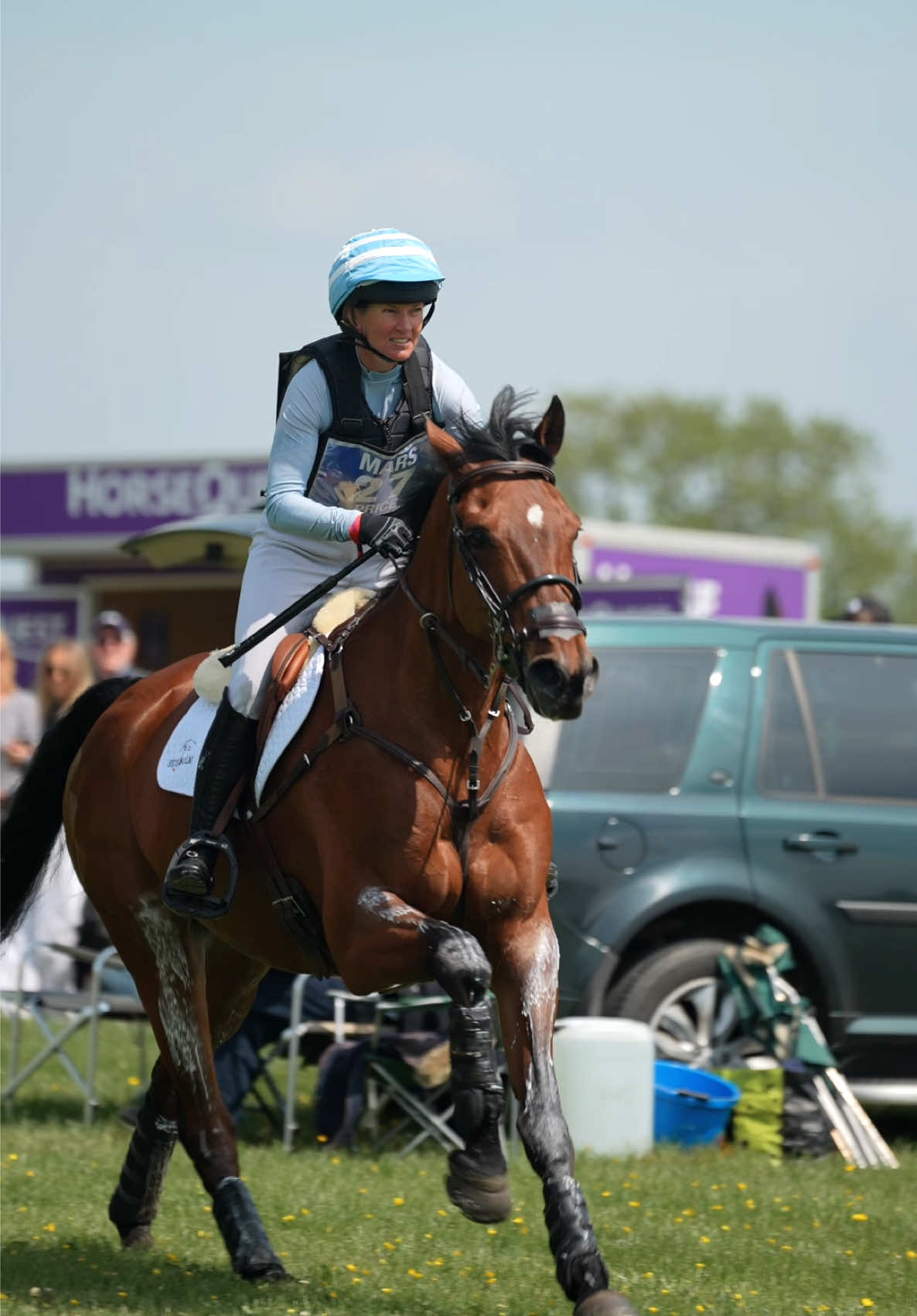 @HorseQuest - Horses for Sale