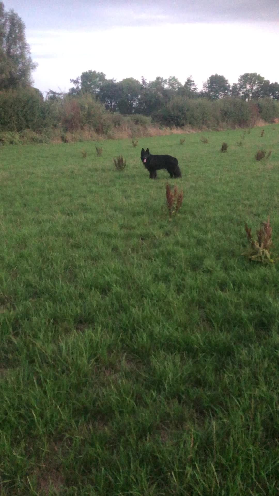 @🐶West Country K9s🐶