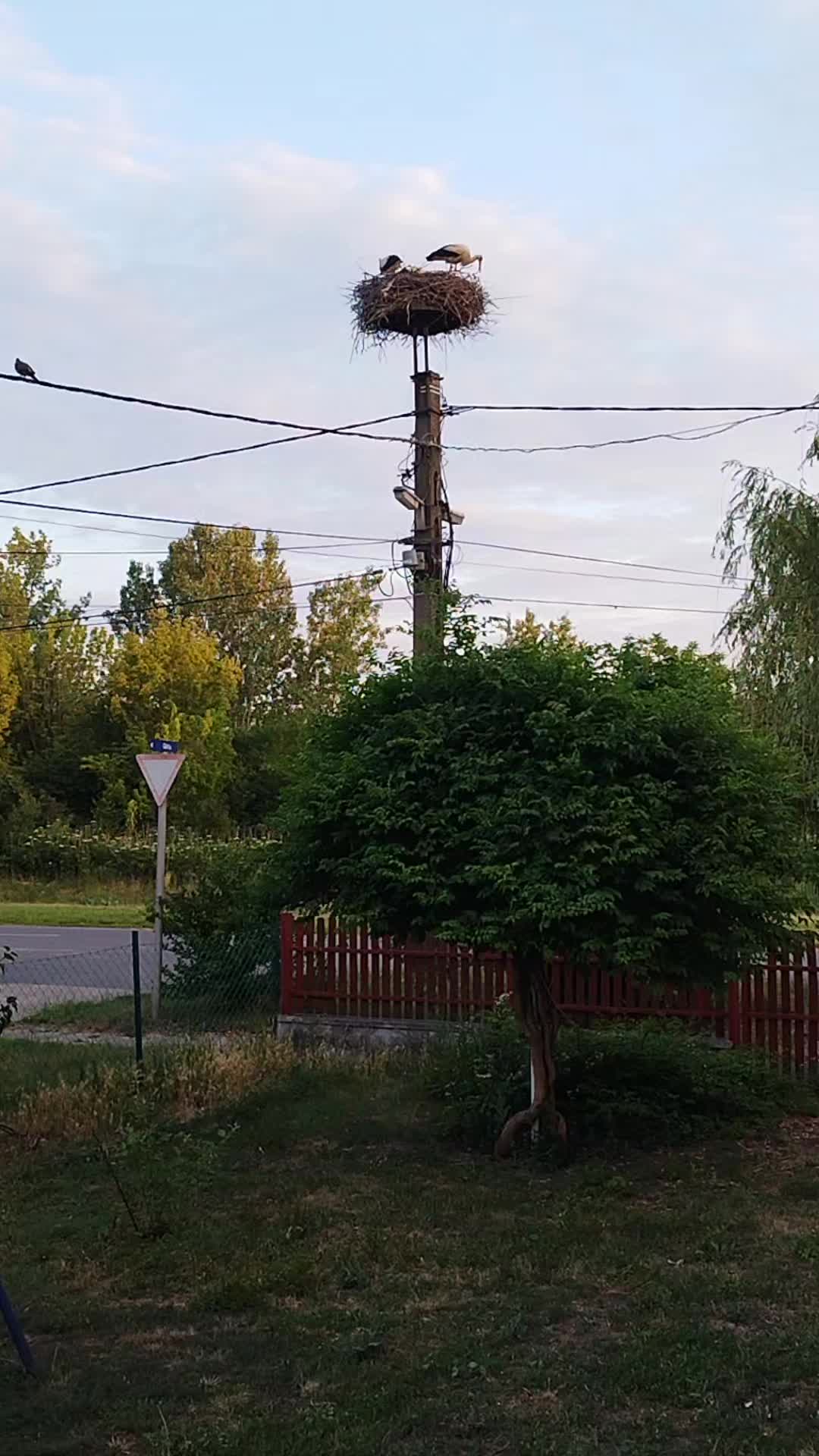@Jůðił