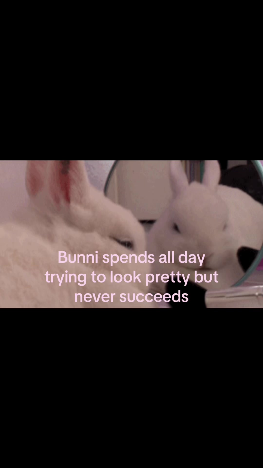 @pinkunicorn.loser