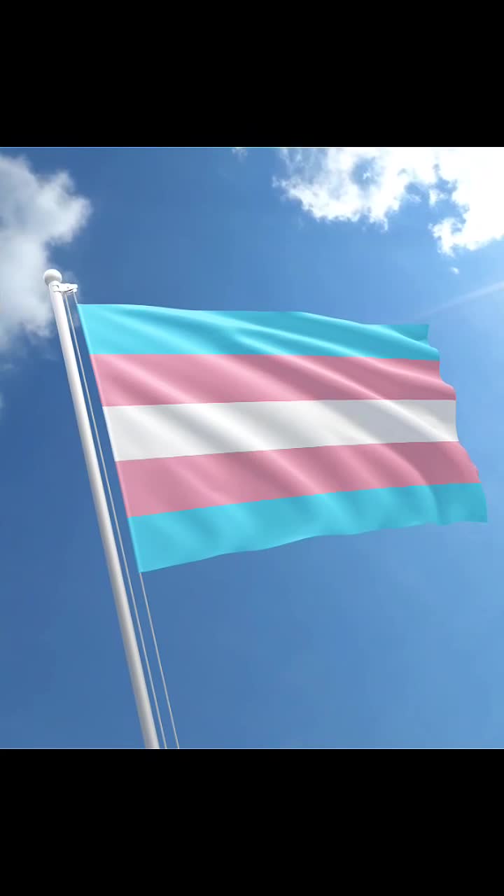 @Stephanie trans (not out)