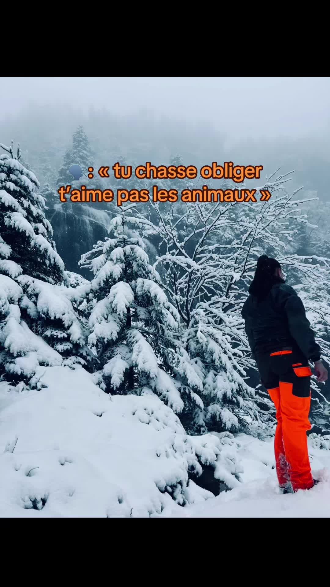 @laurine