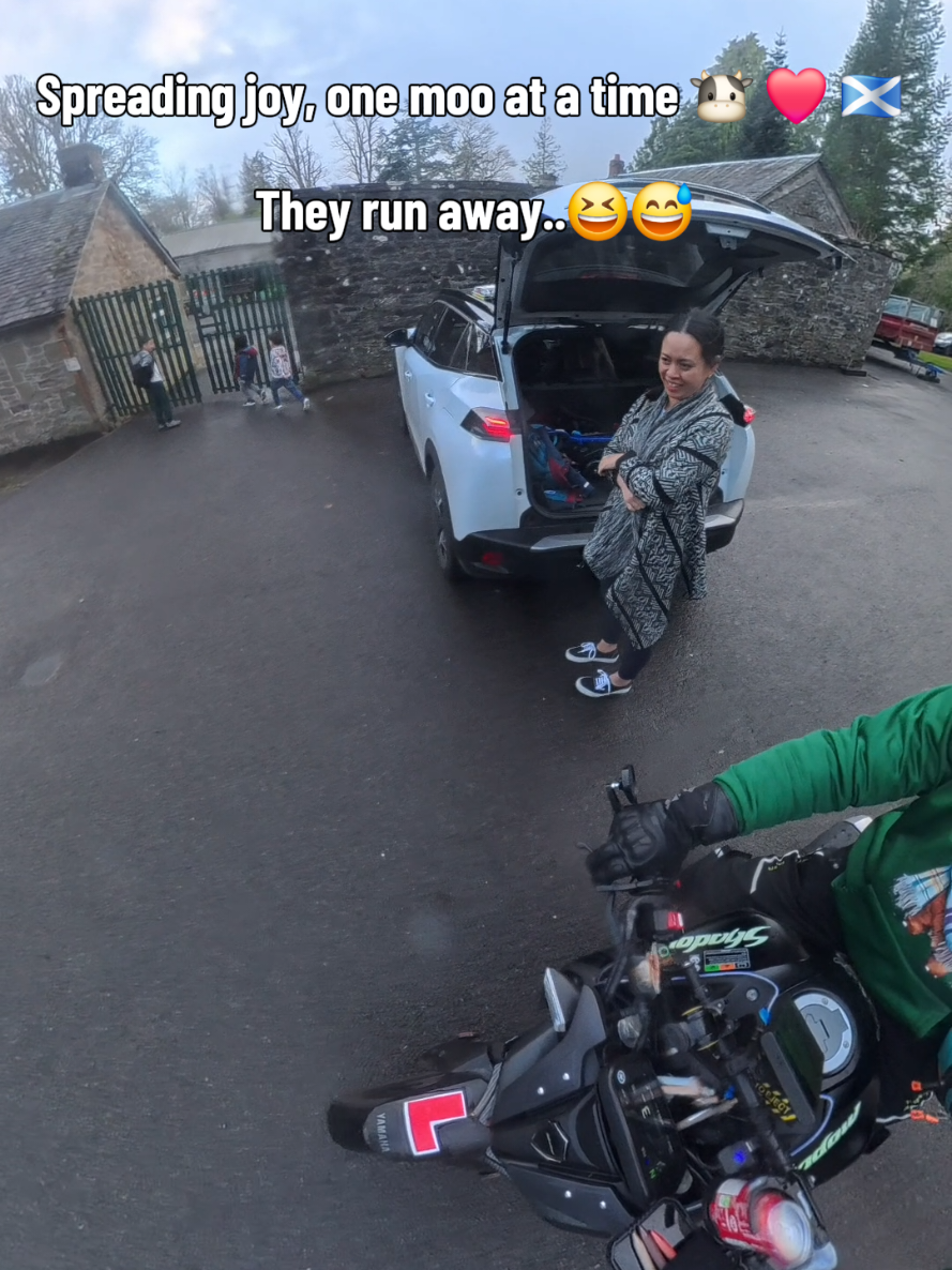 @Highland Cow Rider 🐮🏍