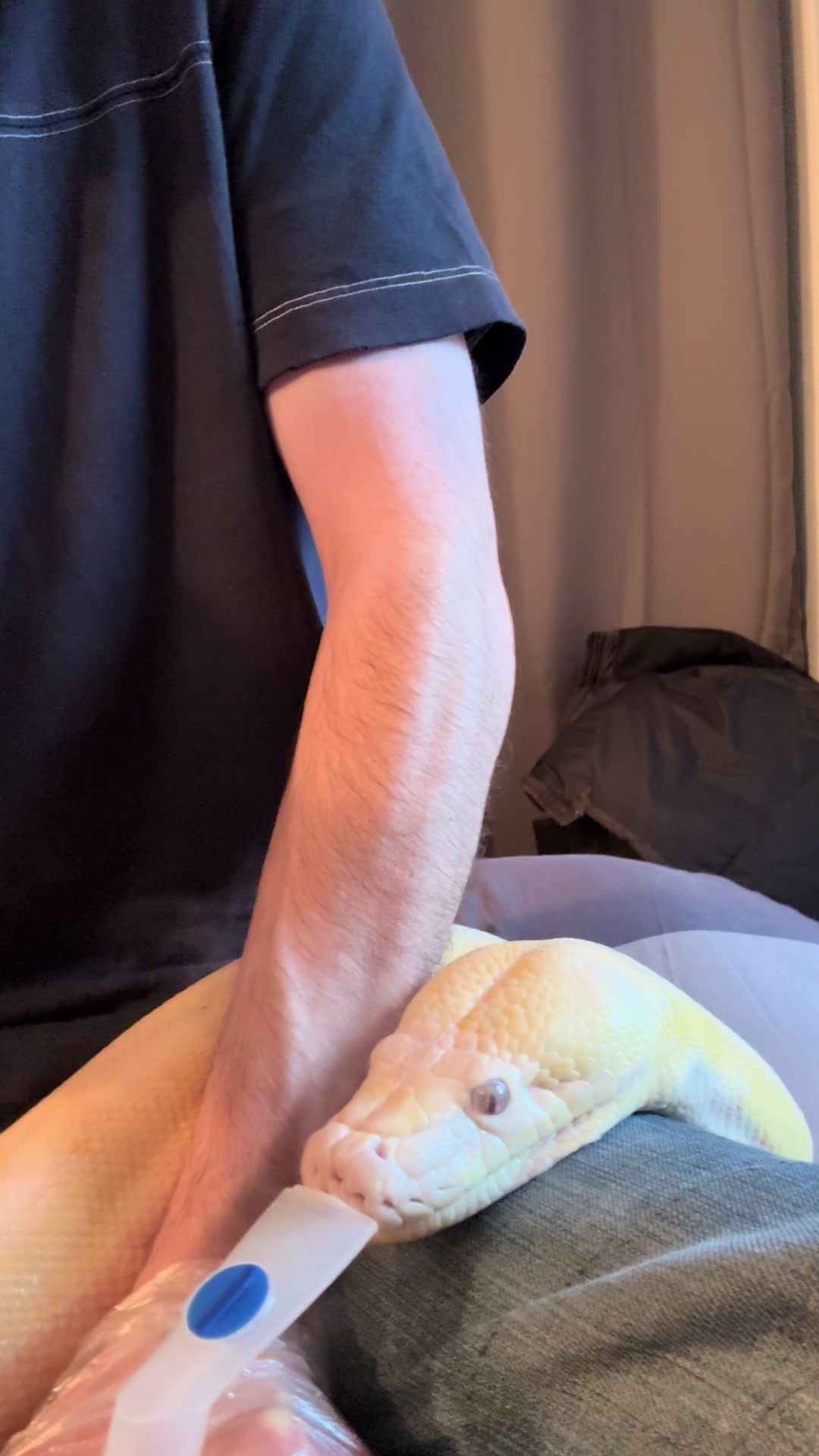 @SonnyCherRetics