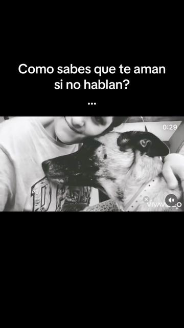 @🦋Mamen🦋
