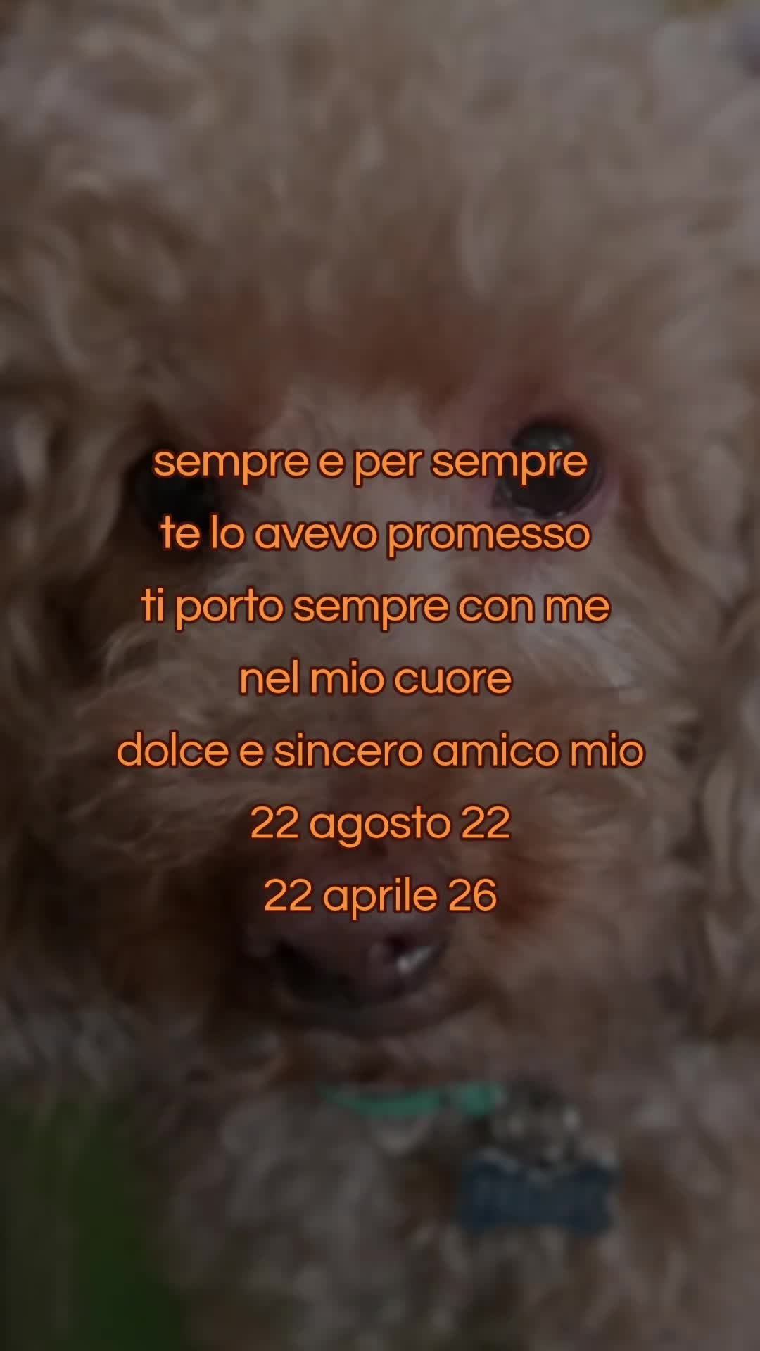 @Daniela Gioglio