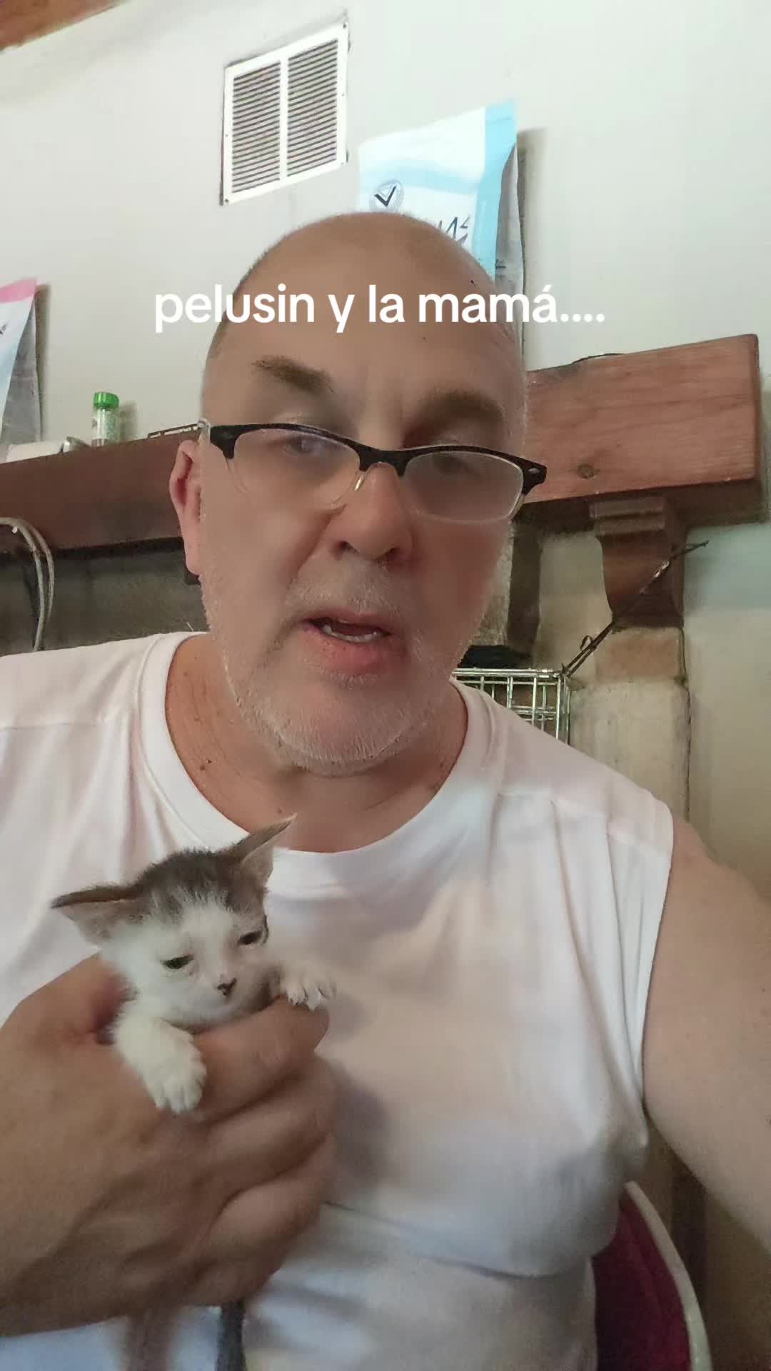 @David/sikuzar