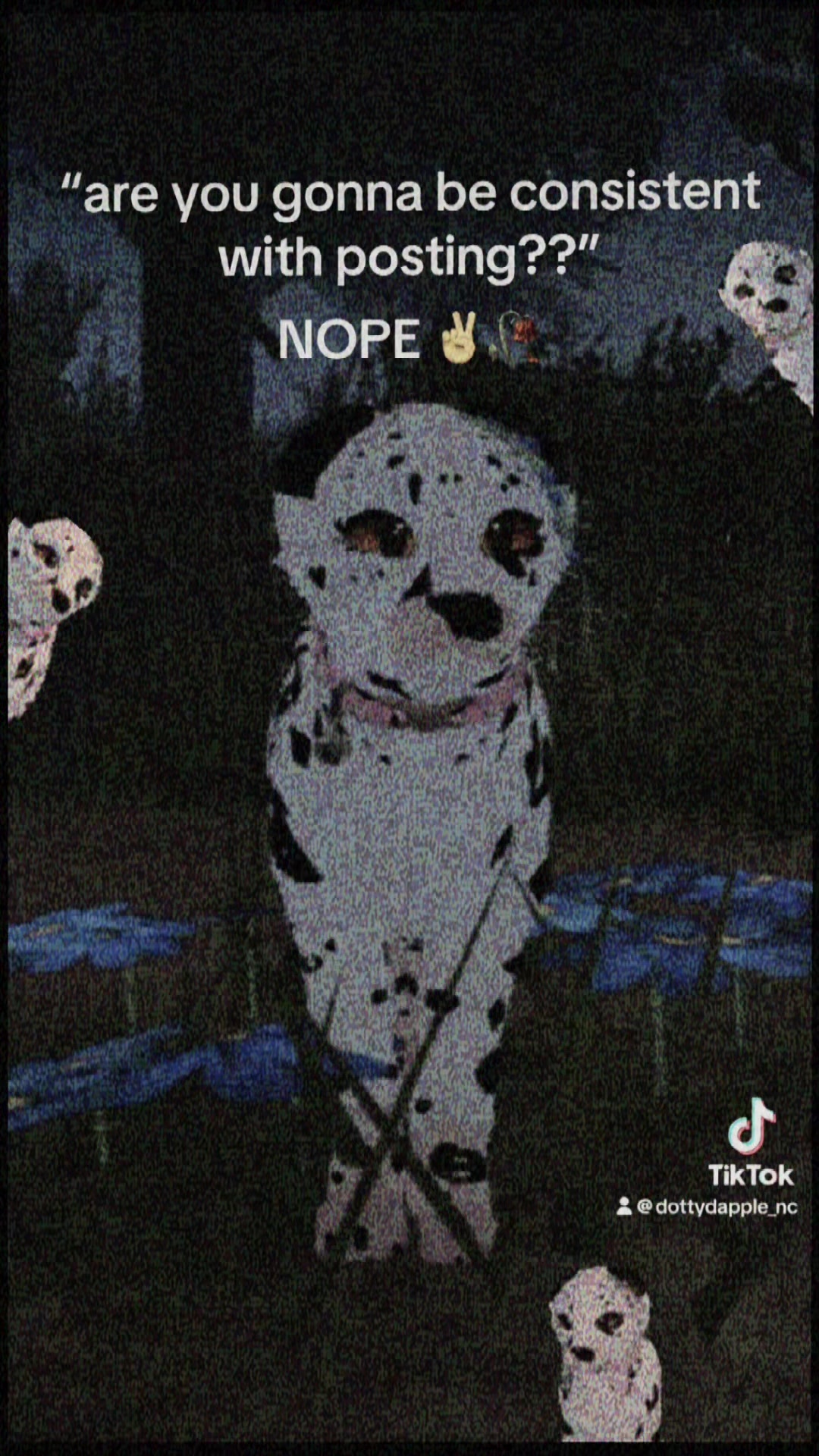 @dottydapple_nc