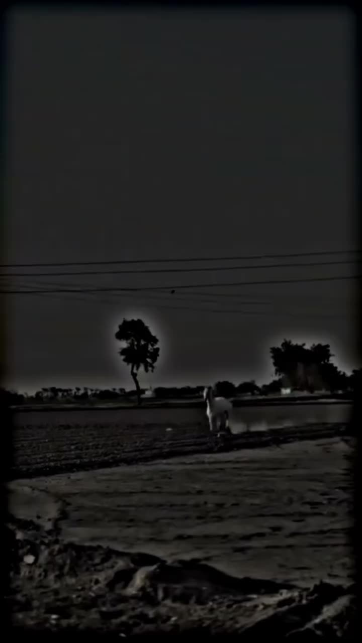 @⫸𝙈𝙞𝙍𝙯𝘼✫𝙎𝙖𝙍𝙆𝙖𝙍✫⫷