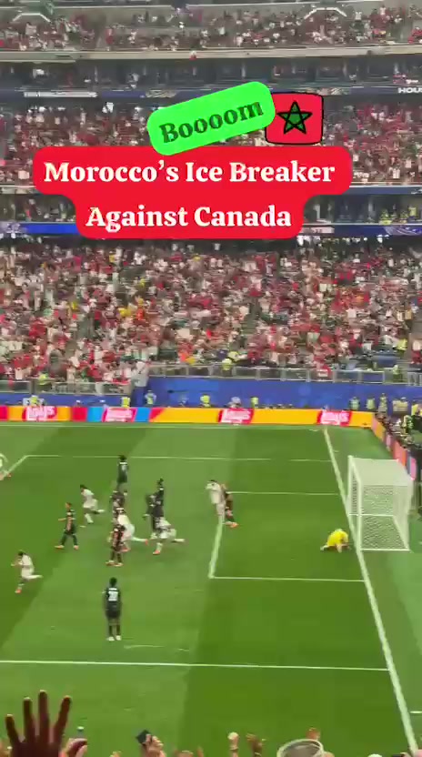 @Bradchelsea