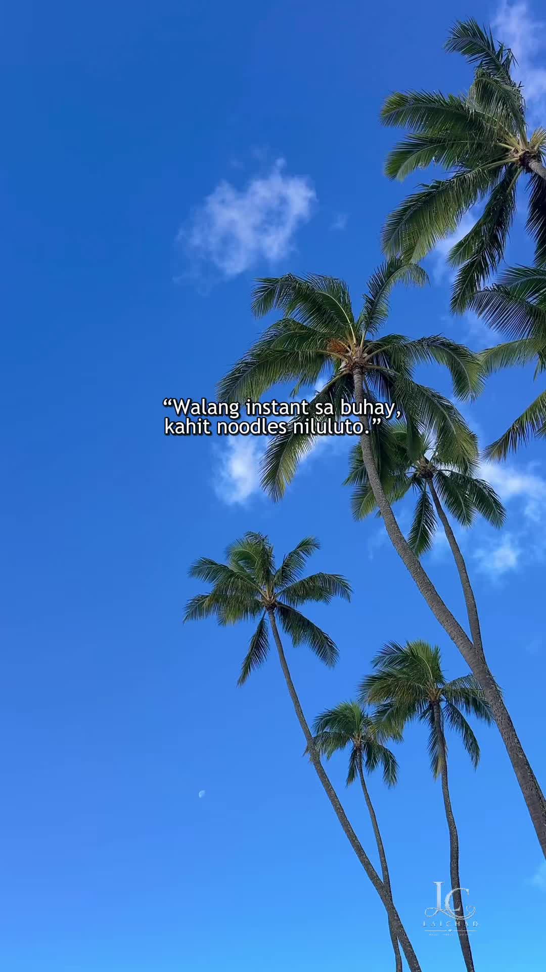 @leila