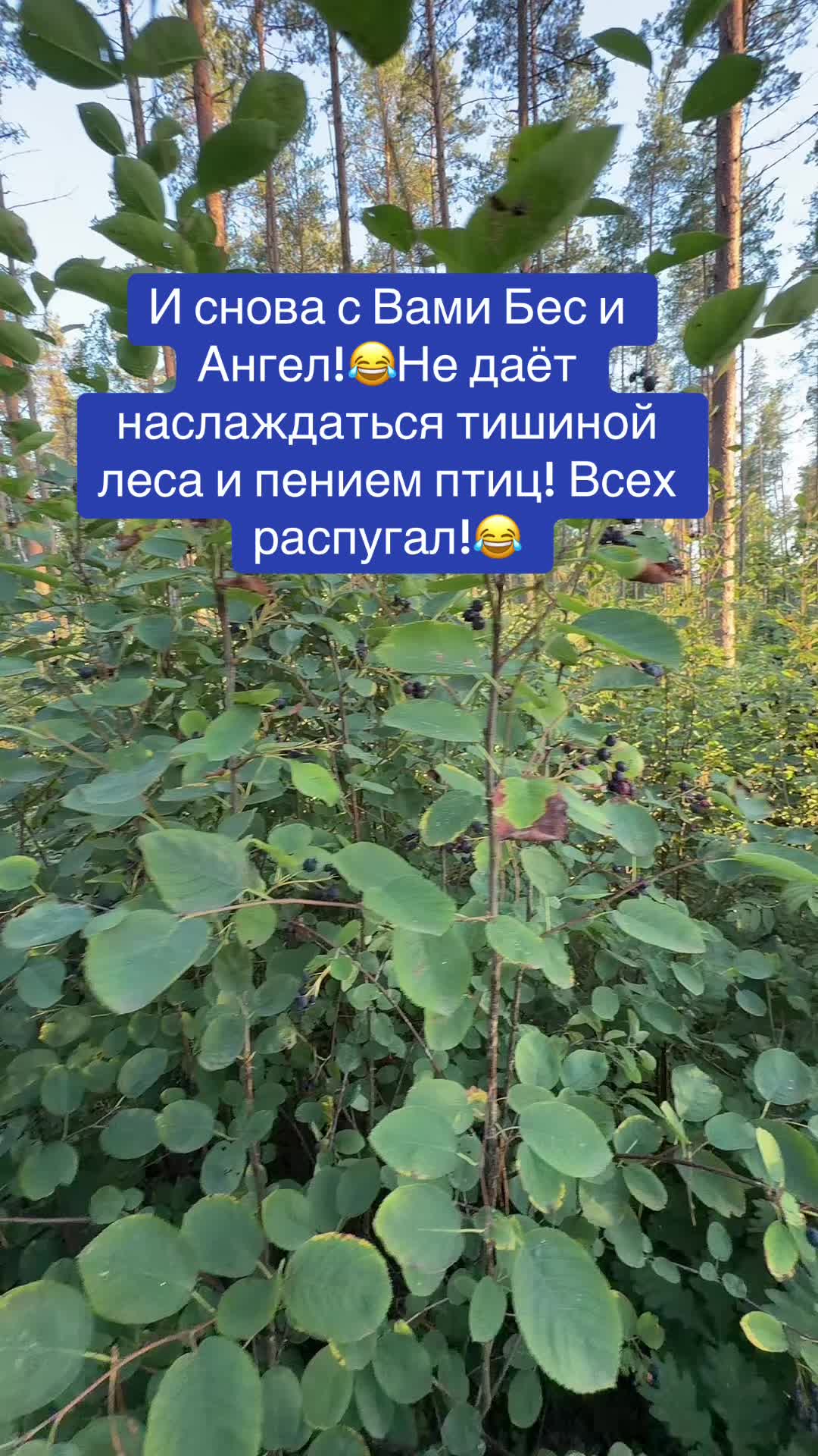 @Ксения Пулле