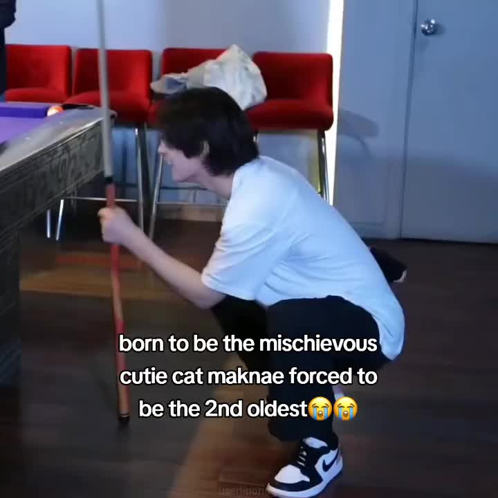 @𐔌 . ⋮ ѵɑოρ𝗌ευ𐓣𝗀 .ᐟ 🐶₊ ꒱